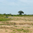 Land & Plots for Sale