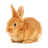 Other Animals